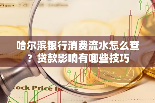 哈尔滨银行消费流水怎么查?贷款影响有哪些技巧